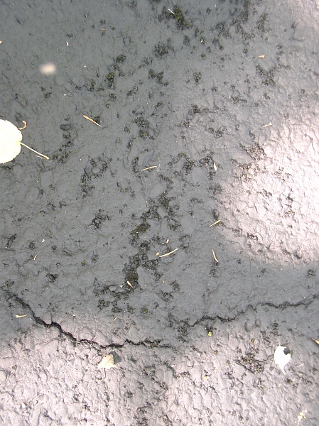 Cracked Sealer
